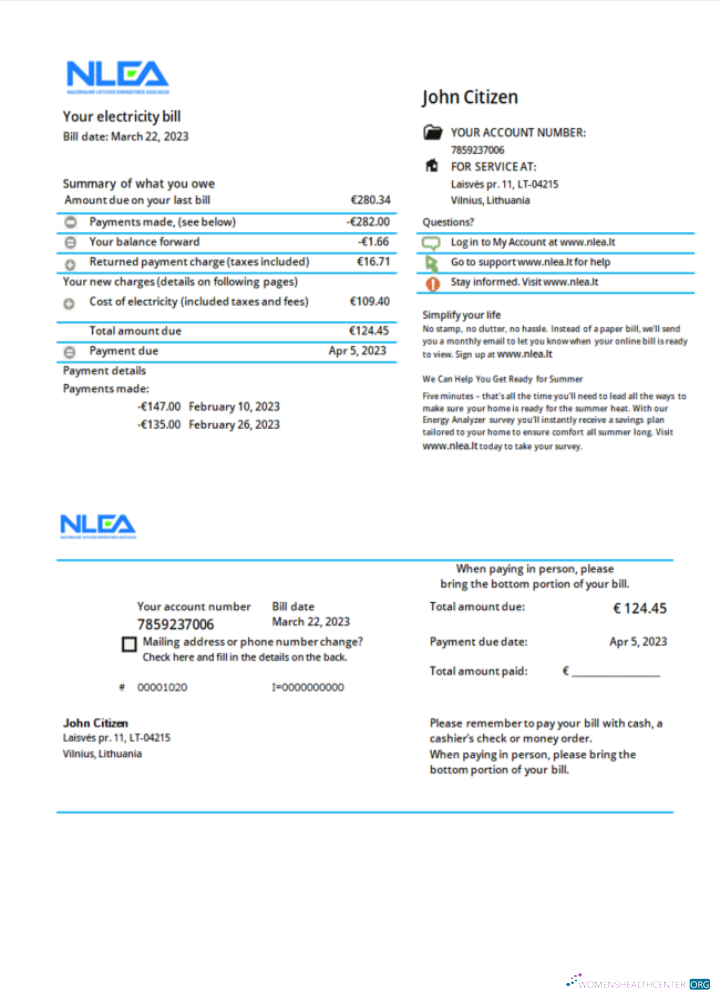 download Lithuania National Lithuanian Energy Association utility bill Word and PDF template PDF template